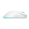 Baracuda BGM-122 Turtle balta TURTLE-W pele