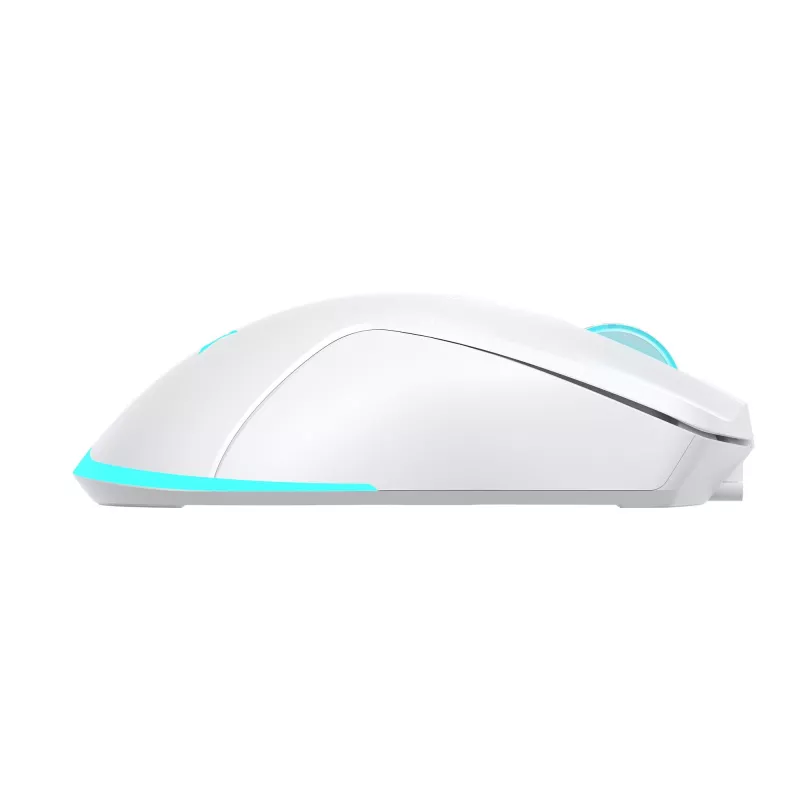 Baracuda BGM-122 Turtle balta TURTLE-W pele