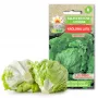 Dārza salātu 'Crisp Ice Lettuce Summer Toraf' sēklas, 1 g iepakojumā
