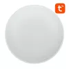 Viedā griestu lampa Gosund LB13, 30 cm diametrs, Bluetooth vadība, 1600 lm
