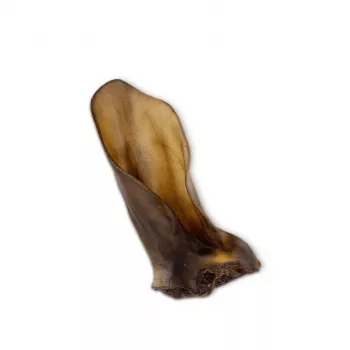 Suņu košļājamā našķe UNISZKI Medium Beef Ear — viena dabīga košļājamā našķe vidējiem un pieaugušiem suņiem, proteīns 75,8%, mitrums 14,9%