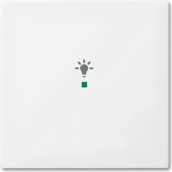 Busch-Jaeger 2CKA006220A0356 Sensora turētāja un kontaktligzdas pārsega plāksne, balta (2CKA006220A0356)
