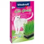 Kaķu zāles komplekts Vitakraft 120 g — ēdamās zāles komplekts kaķiem, bez lipekļa, bez konservantiem