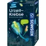 Kosmos 65787, Paplašinātā realitāte, 8 gadi, Daudzkrāsains