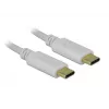 Delock - USB-C / barošanas kabelis - 24 kontaktu USB-C (M) uz 24 kontaktu USB-C (M) - 5 A - 15 cm - USB barošanas avots (100 W), atbalsta Power Delivery 2.0 - Balts (85357)