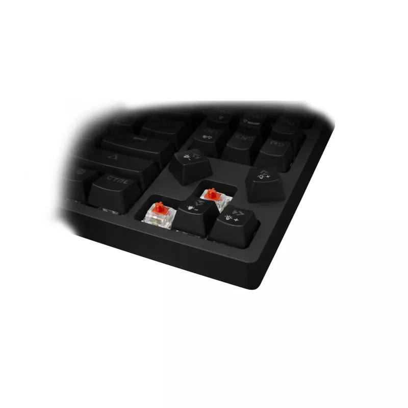 Spēļu tastatūra White Shark Premium Line Kodachi ESL-K1