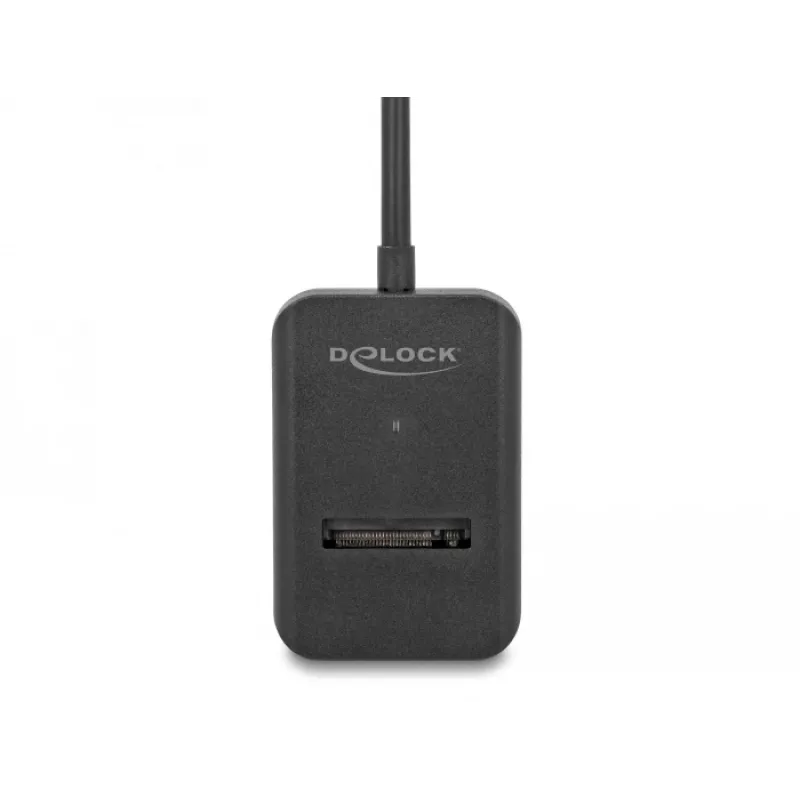 DeLOCK kombinētais adapteris M.2 NVMe PCIe SATA SSD USB Type-C ar 10 Gbps