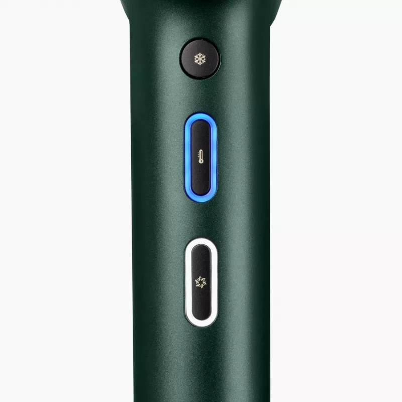 BaByliss Air Power Pro matu žāvētājs 1700 W Zelts, Zaļš