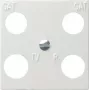 GIRA 025803 sienas plāksne/slēdžu pārsegs balts (025803)