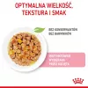 Mitrā kaķu barība Royal Canin Kitten Gravy 85 g — mājputnu gaļa, 78% mitrums, 12% olbaltumvielas