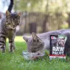 Mitrā kaķu barība VETEXPERT RAW PALEO Adult Sterilised Beef 100 g paciņa, monoproteīna, 78% mitrums