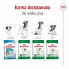 Sausā suņu barība Royal Canin Adult Mini S 8 kg — pilnvērtīgs uzturs maziem pieaugušiem suņiem