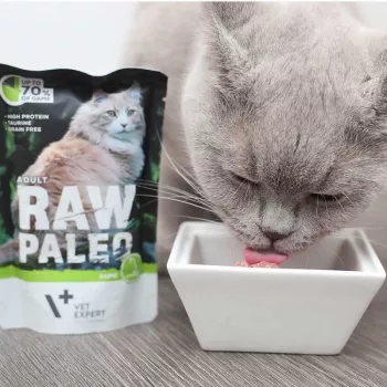 Mitrā kaķu barība VETEXPERT RAW PALEO Adult Venison 100 g — bez graudiem, vienas porcijas paciņa