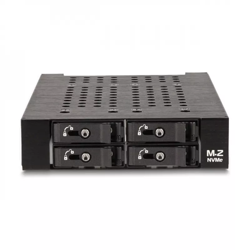 HDD Cage DeLOCK 47072 Rack Saderīga Metal 100mm platums