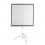Projekcijas ekrāns SBOX PSMT-135-2, skatīšanās laukums 240×240 cm, fiksēts/piestiprināms pie sienas