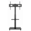 Gembird TVS-75S-02 televizora grīdas statīvs ar ritenīšiem, 37–75 inch, melns