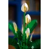 LEGO BOTANICALS 11504 Miera Lilija
