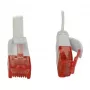 Synergy 21 S216170V2 tīkla kabelis 0,25 m Cat6 U/UTP (UTP) Balts (S216170V2)