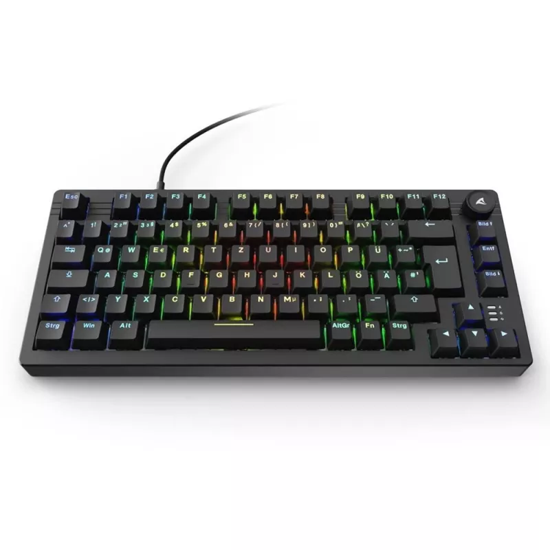 Sharkoon SGK25 tastatūra mājām USB QWERTZ vācu melna 75% RGB LED