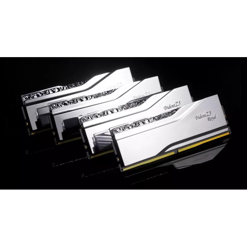 Atmiņas modulis G.Skill DDR5 48 GB 8000 MHz