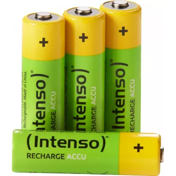 Intenso 7505524 Baterija