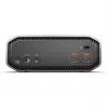SANDISK Professional G-DRIVE PROJECT - G-DRIVE PRO 12TB 3,5 collu EMEA