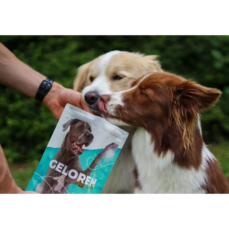 GELOREN Large dog Joints - suņu vitamīni - 420 g