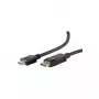 Video kabeļa adapteris ShiverPeaks BS77490-2 1m DisplayPort HDMI Type A