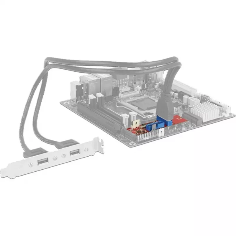 Delock Converter M.2 Key B+M vīrietis > 2 x USB3.0 Pin Header - USB-Adapteris - M.2 Karte - USB3.0 (iekšējais) x 2 (62843)