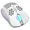 Spēļu pele Deltaco GAM-120-W RF Wireless USB Type-C