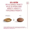 Sausā kaķu barība Royal Canin FHN Ageing 11+ 4 kg — pilnvērtīga diēta vecāka gadagājuma kaķiem, mājputnu gaļa, 30% olbaltumvielu