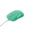 FURY TANTO T4 12000DPI RGB SPĒĻU PELĒTE, PIPARMĒTRAS KRĀSĀ, PROGRAMMĒJAMA