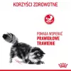 Sausā kaķu barība Royal Canin Digestive Care 4 kg — pieaugušiem kaķiem, putnu gaļa, gremošanas atbalsts
