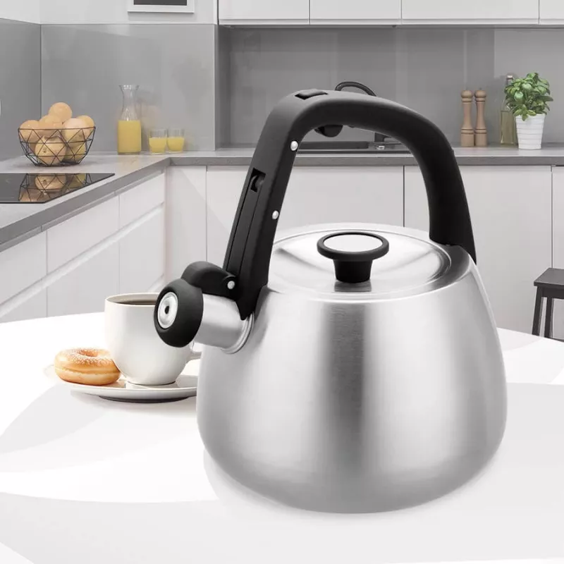 Tējkanna Maestro MR-1318 2,5 l Sudraba, Melna