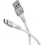 Wentronic 74529 USB kabelis, balts