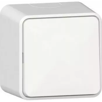 GIRA Rocker Switch 310613 slēdzis AP tīri balts (310613)