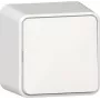 GIRA Rocker Switch 310613 slēdzis AP tīri balts (310613)