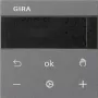 Gira RTR Displejs Antracīts 539328 (539328)