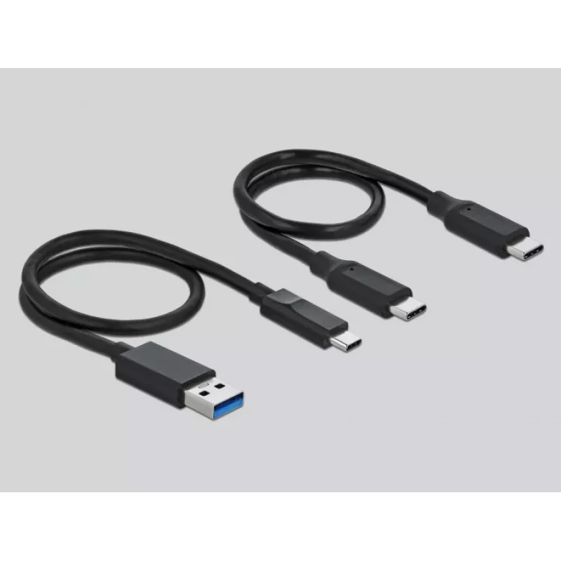 Karšu lasītājs DeLOCK USB Type-C priekš CFast SD + USB centrmezgls