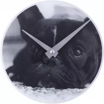 NeXtime klok 5173 Little Dog, Ø20 cm, Sienas, Melns