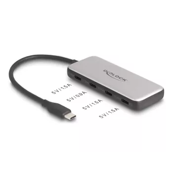 DeLOCK 64261 USB 3.2 Gen 1 Type-C centrmezgls 10000 Mbit/s Melns Pelēks