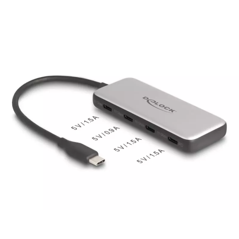 DeLOCK 64261 USB 3.2 Gen 1 Type-C centrmezgls 10000 Mbit/s Melns Pelēks