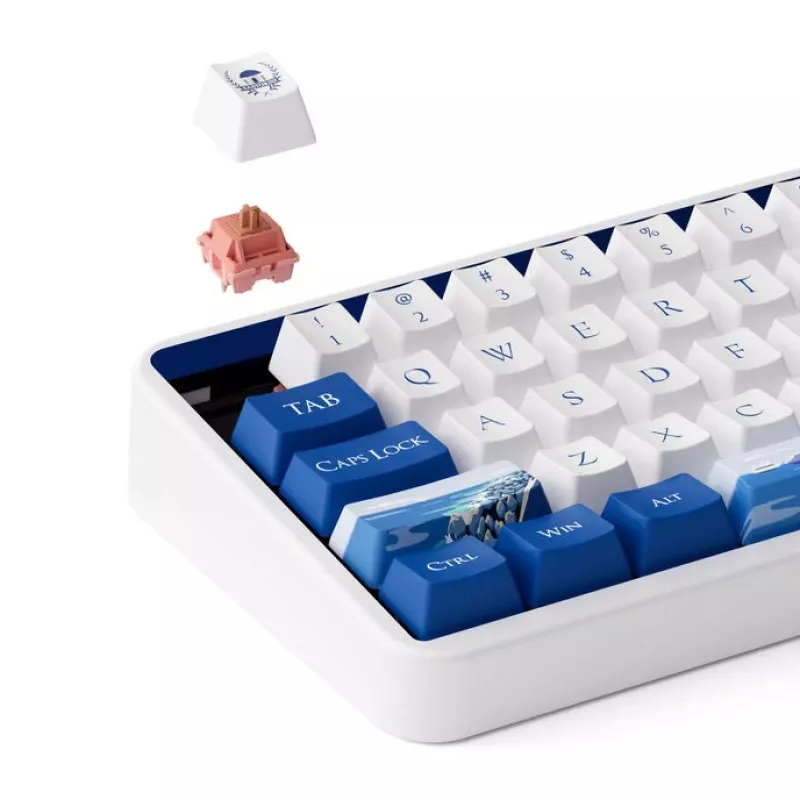 Mehāniskā tastatūra AKKO JIN 01 Santorin 65% ar Rosewood slēdžiem, ANSI izkārtojums