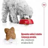 ROYAL CANIN Adult Mini S - sausā suņu barība - 2 kg