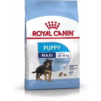 Royal Canin SHN Maxi Puppy - sauso kucēnu barība - 4kg