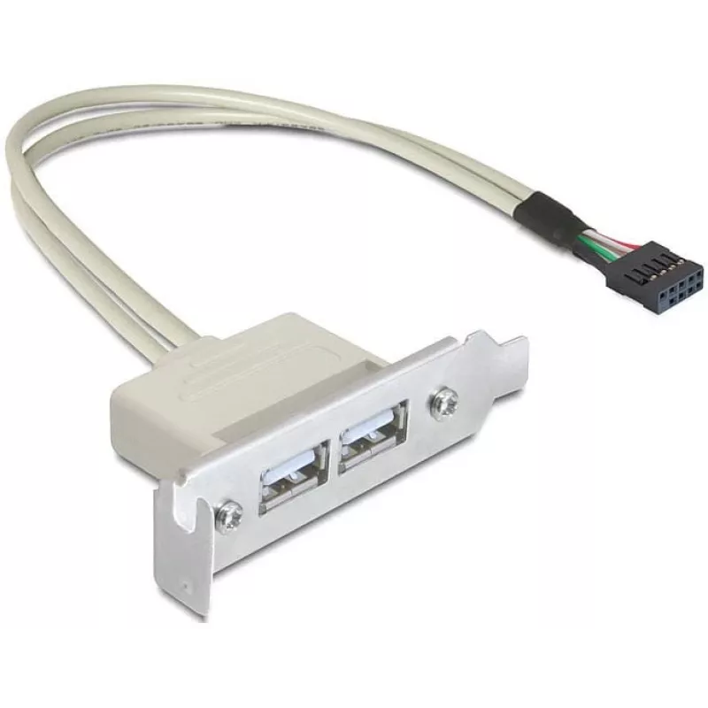 DeLOCK USB 2.0 spraugas kronšteins 0,5 m