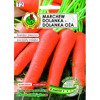 Apte Marchew Dolanka 6 m lente ar Platnacote mēslojumu — vēlīnā šķirne