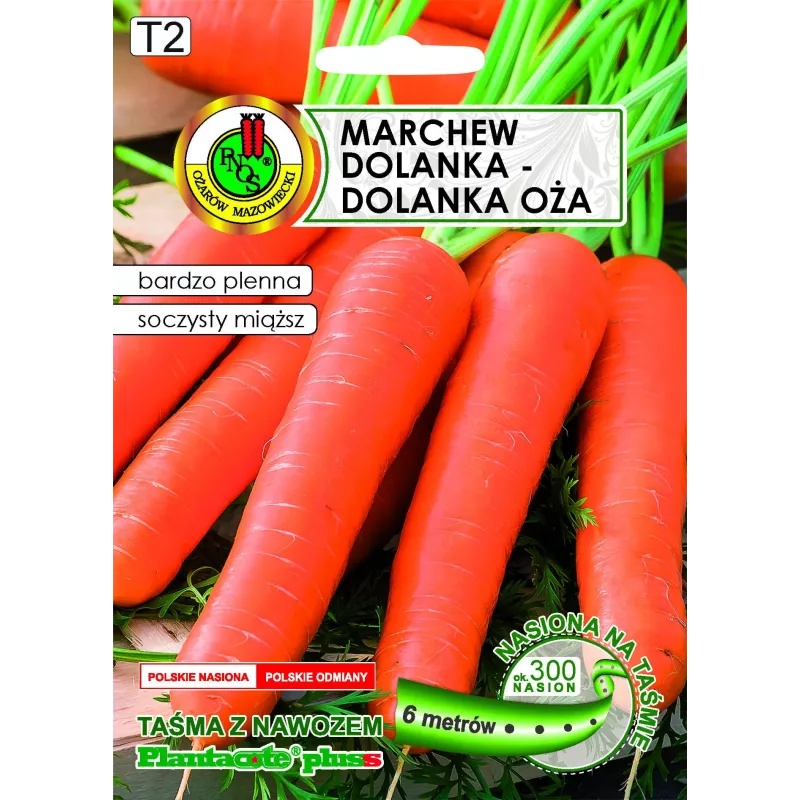 Apte Marchew Dolanka 6 m lente ar Platnacote mēslojumu — vēlīnā šķirne