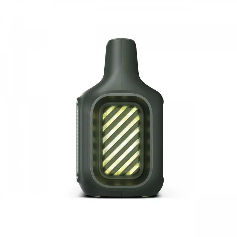 Soundcore Boom 2 skaļrunis zaļš