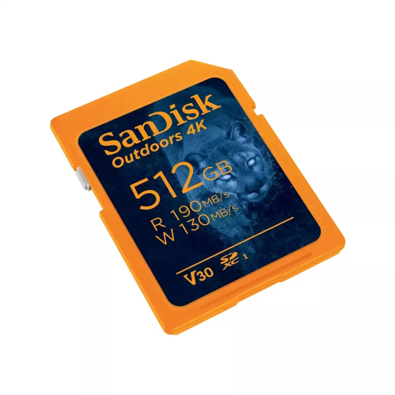 Zibatmiņa SanDisk 32GB SDHC Class 10 SDSDXW2-064G-GNCIN